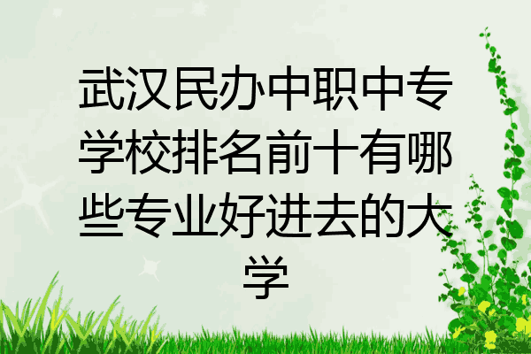 武汉民办中职中专学校排名前十有哪些专业好进去的大学