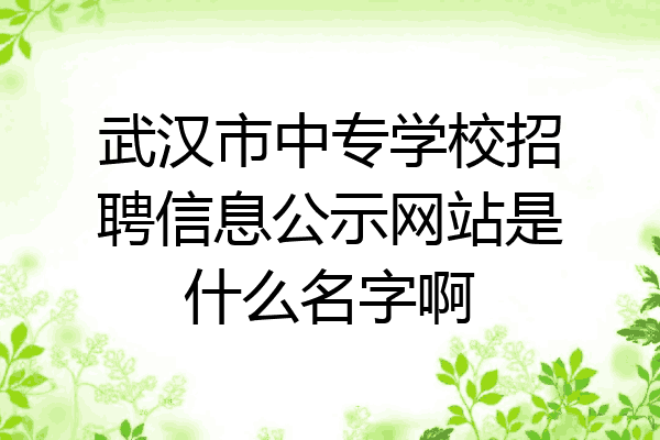 武汉市中专学校招聘信息公示网站是什么名字啊