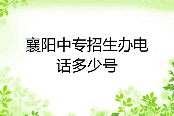 襄阳中专招生办电话多少号