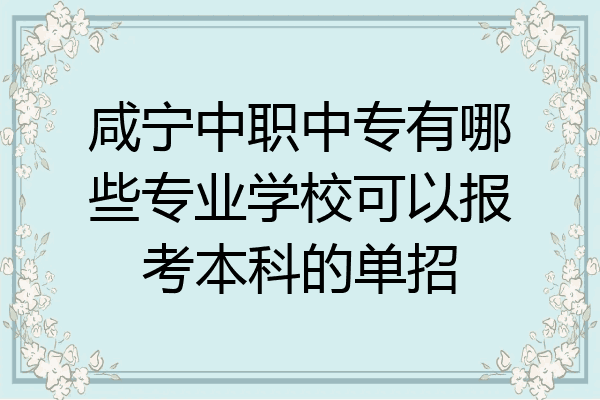咸宁中职中专有哪些专业学校可以报考本科的单招