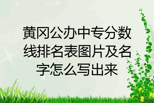 黄冈公办中专分数线排名表图片及名字怎么写出来