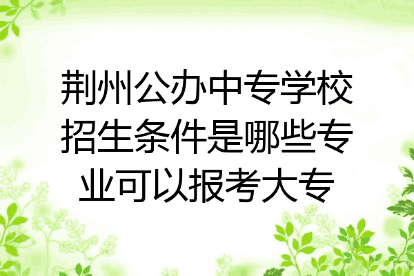 荆州公办中专学校招生条件是哪些专业可以报考大专