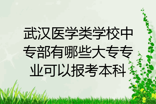 武汉医学类学校中专部有哪些大专专业可以报考本科