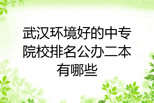 武汉环境好的中专院校排名公办二本有哪些