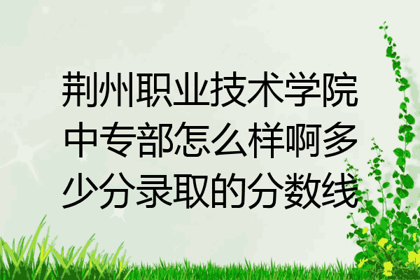 荆州职业技术学院中专部怎么样啊多少分录取的分数线