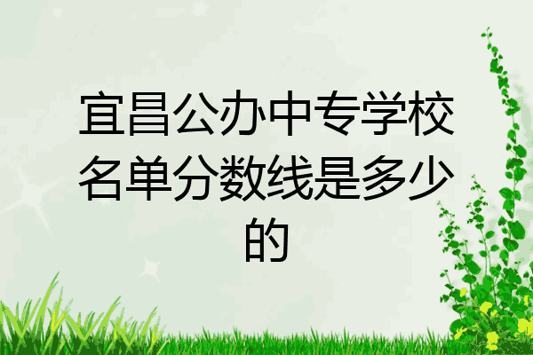 宜昌公办中专学校名单分数线是多少的