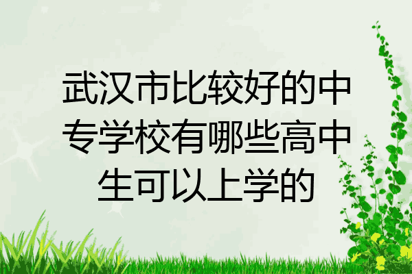 武汉市比较好的中专学校有哪些高中生可以上学的