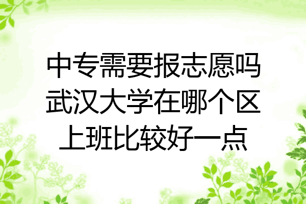中专需要报志愿吗武汉大学在哪个区上班比较好一点