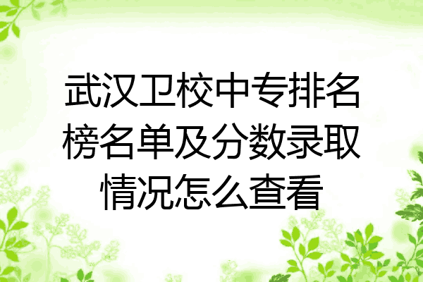 武汉卫校中专排名榜名单及分数录取情况怎么查看