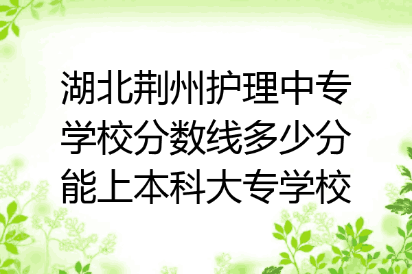 湖北荆州护理中专学校分数线多少分能上本科大专学校