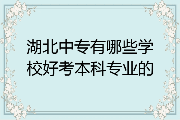 湖北中专有哪些学校好考本科专业的