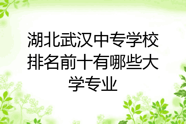 湖北武汉中专学校排名前十有哪些大学专业