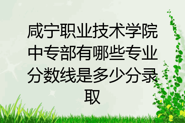 咸宁职业技术学院中专部有哪些专业分数线是多少分录取