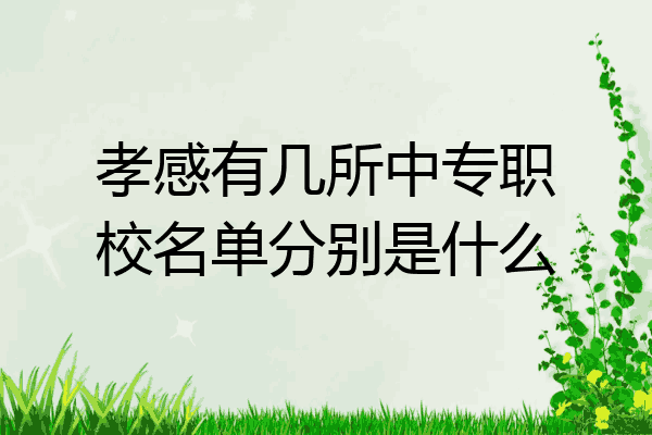 孝感有几所中专职校名单分别是什么