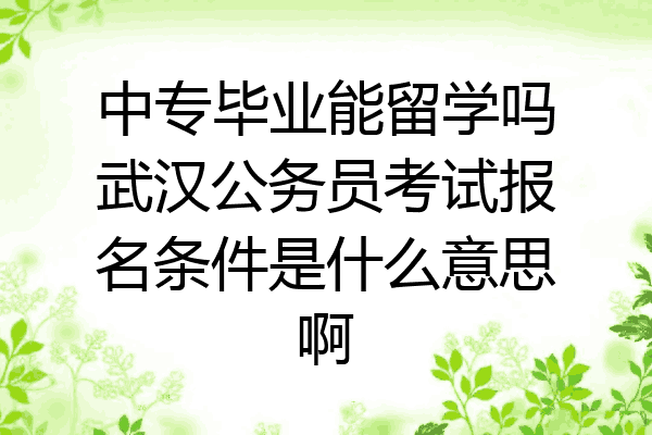 中专毕业能留学吗武汉公务员考试报名条件是什么意思啊
