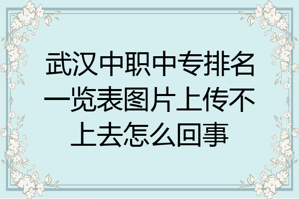 武汉中职中专排名一览表图片上传不上去怎么回事