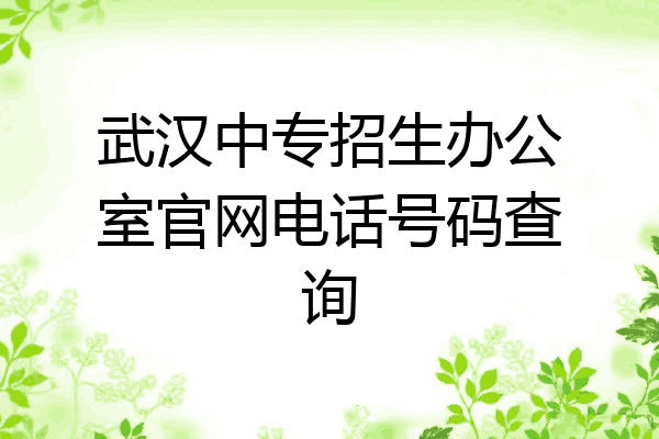 武汉中专招生办公室官网电话号码查询