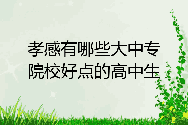 孝感有哪些大中专院校好点的高中生