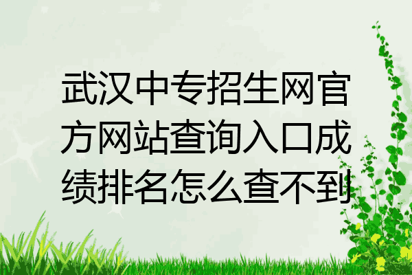 武汉中专招生网官方网站查询入口成绩排名怎么查不到