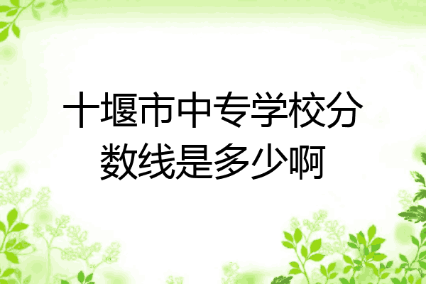 十堰市中专学校分数线是多少啊