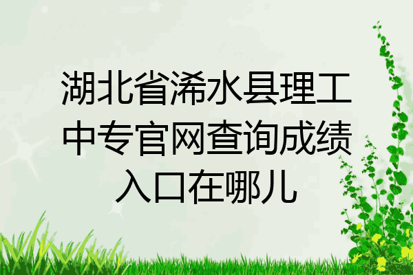 湖北省浠水县理工中专官网查询成绩入口在哪儿