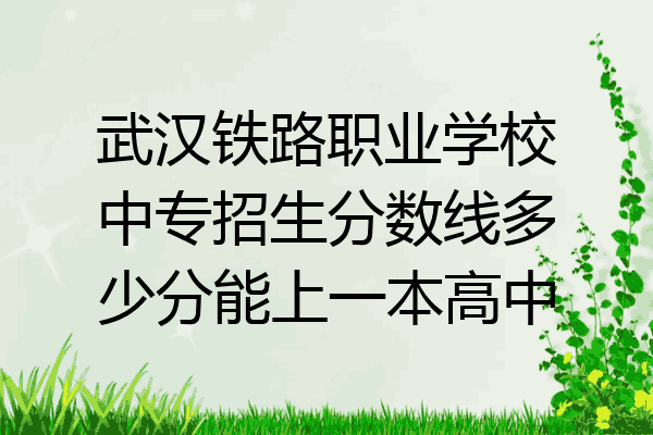 武汉铁路职业学校中专招生分数线多少分能上一本高中