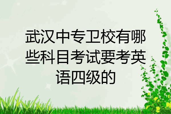 武汉中专卫校有哪些科目考试要考英语四级的
