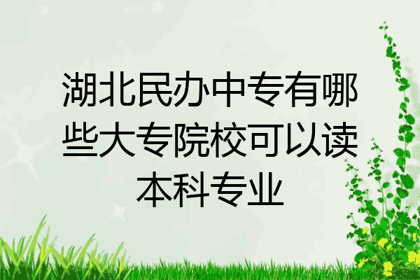 湖北民办中专有哪些大专院校可以读本科专业