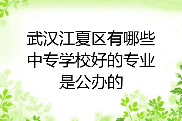 武汉江夏区有哪些中专学校好的专业是公办的