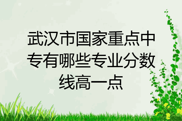 武汉市国家重点中专有哪些专业分数线高一点