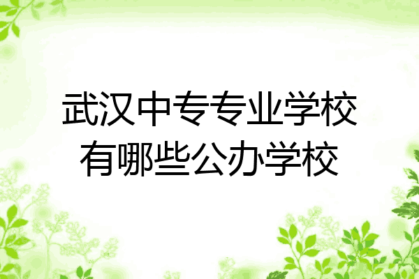 武汉中专专业学校有哪些公办学校