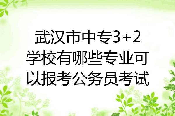 武汉市中专3+2学校有哪些专业可以报考公务员考试