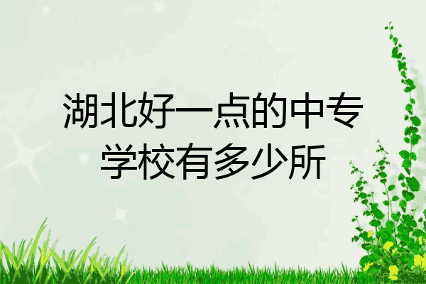 湖北好一点的中专学校有多少所