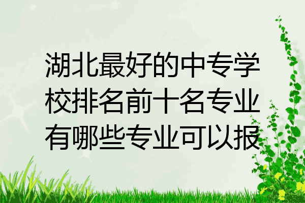湖北最好的中专学校排名前十名专业有哪些专业可以报
