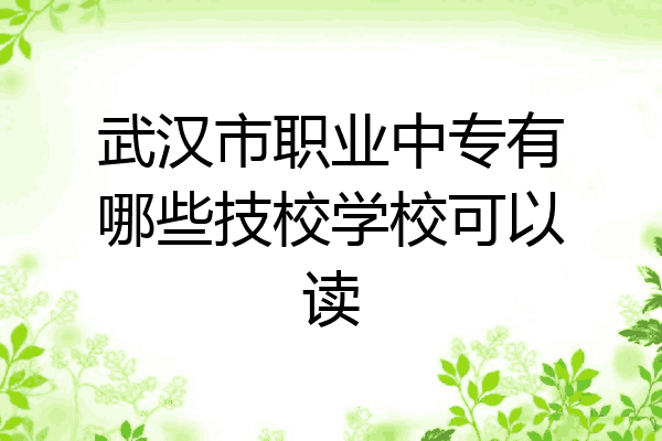 武汉市职业中专有哪些技校学校可以读