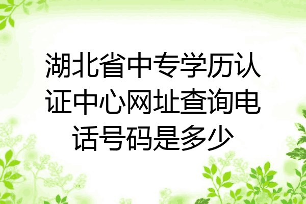 湖北省中专学历认证中心网址查询电话号码是多少