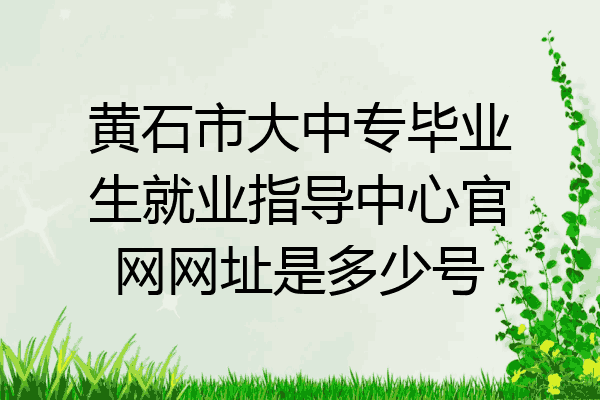 黄石市大中专毕业生就业指导中心官网网址是多少号