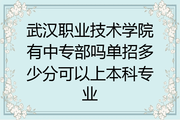 武汉职业技术学院有中专部吗单招多少分可以上本科专业