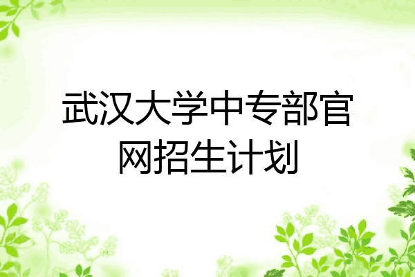 武汉大学中专部官网招生计划
