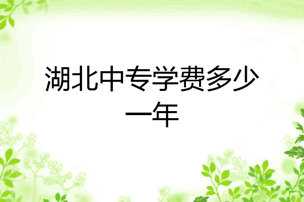 湖北中专学费多少一年