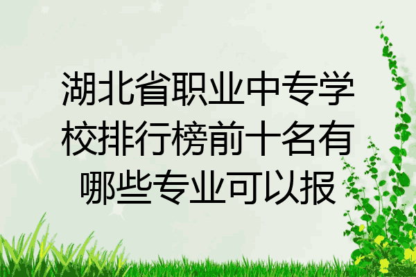 湖北省职业中专学校排行榜前十名有哪些专业可以报
