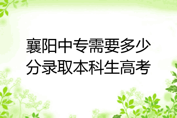 襄阳中专需要多少分录取本科生高考