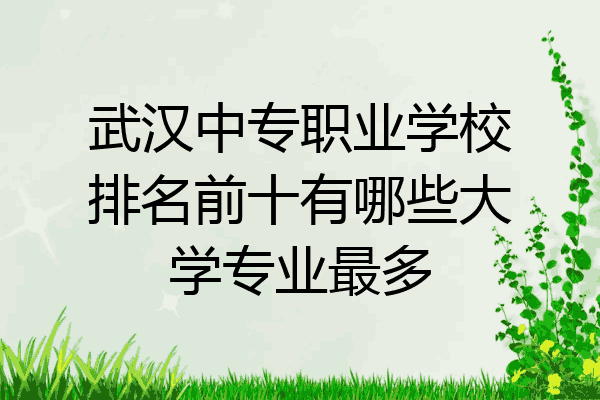 武汉中专职业学校排名前十有哪些大学专业最多