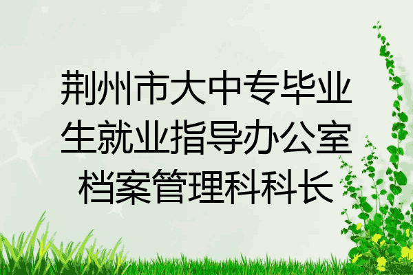 荆州市大中专毕业生就业指导办公室档案管理科科长