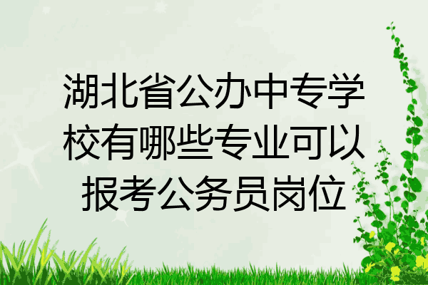 湖北省公办中专学校有哪些专业可以报考公务员岗位