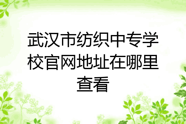武汉市纺织中专学校官网地址在哪里查看