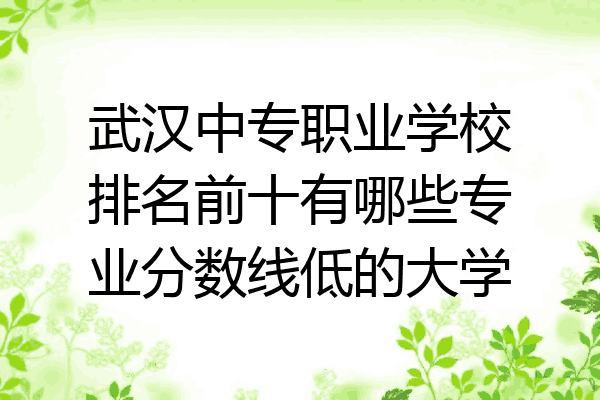 武汉中专职业学校排名前十有哪些专业分数线低的大学