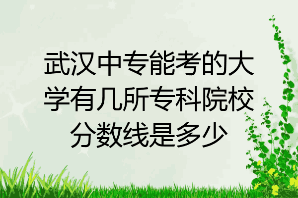 武汉中专能考的大学有几所专科院校分数线是多少