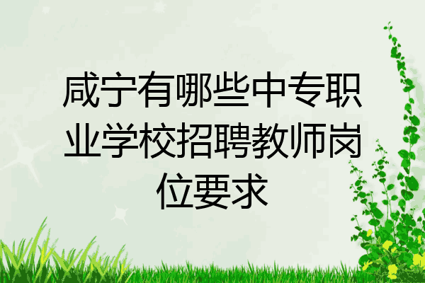 咸宁有哪些中专职业学校招聘教师岗位要求