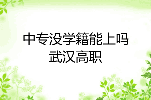 中专没学籍能上吗武汉高职